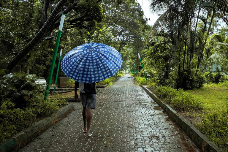 A woman walking through a park with an umbrella on a rainy day