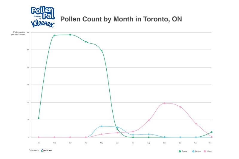 Pollen Count by Month Toronto